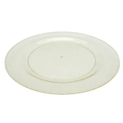 Assiette plastique reutilisable
