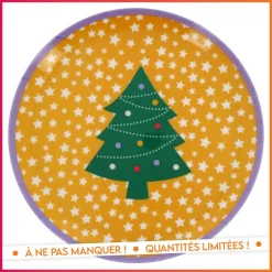 Assiette melamine 25cm - 6 ass