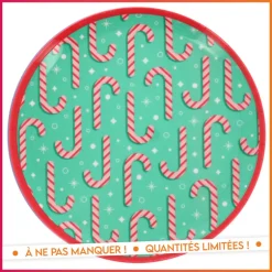 Assiette melamine 25cm - 6 ass