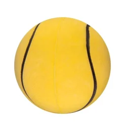 Balle de sport pour chien