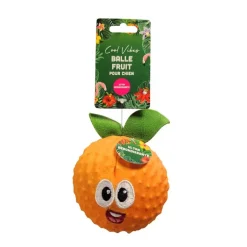 Balle fruit pour chien