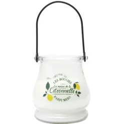 Bougie citronnelle led color cha