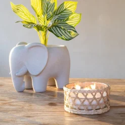 Bougie citronnelle pot en verre