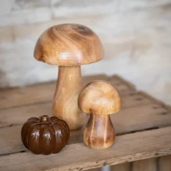 Champignon bois s