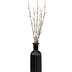 Chatons dans vase noir