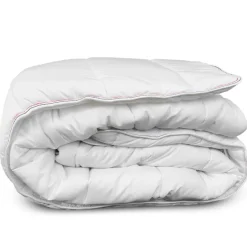 Couette 260x240 anti punaise ant