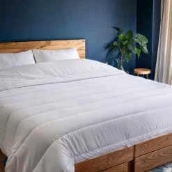 Couette 220x240 anti punaise ant