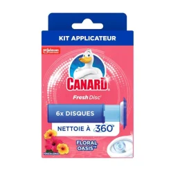 Fresh disc x6 flowers oasis