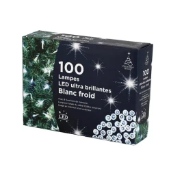 Guirlande 100 led blanc froid