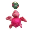 Jouet tortue pour chien