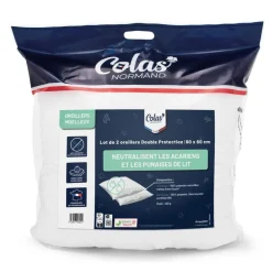 Lot 2 oreillers 60x60 anti punai