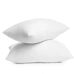 Lot 2 oreillers 60x60 anti punai