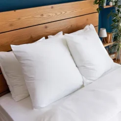 Lot 2 oreillers 60x60 anti punai