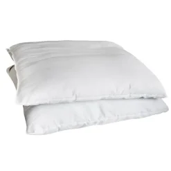 Lot 2 oreillers 60x60cm