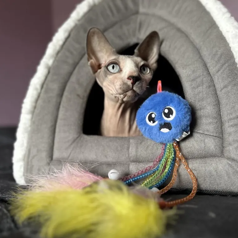 Nerf pieuvre avec poche a herbe