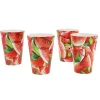 Pack 4 gobelets fruit pasteque