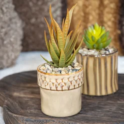 Petite plante ceramique