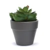 Succulente artificielle en pot
