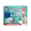 Tapis educateur x100 pour chiens