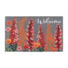 Tapis imp welcome 45x75cm