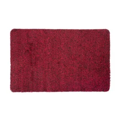 Tapis super absorbant